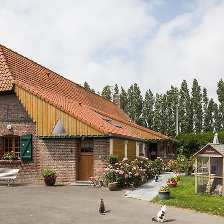 Gite De La Ferme Des Crins Blancs Villa Hazebroek Buitenkant foto