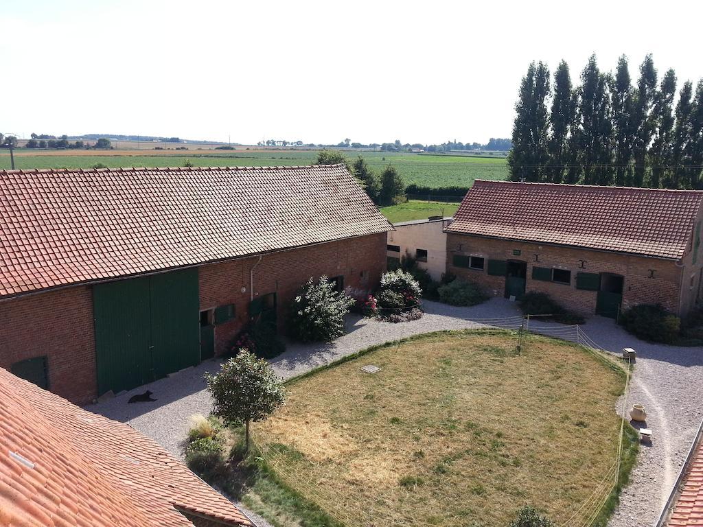 Gite De La Ferme Des Crins Blancs Villa Hazebroek Kamer foto