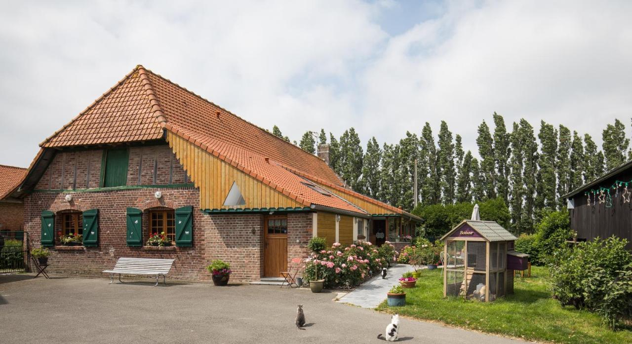 Gite De La Ferme Des Crins Blancs Villa Hazebroek Buitenkant foto