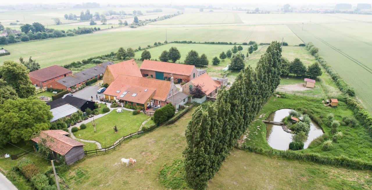 Gite De La Ferme Des Crins Blancs Villa Hazebroek Buitenkant foto